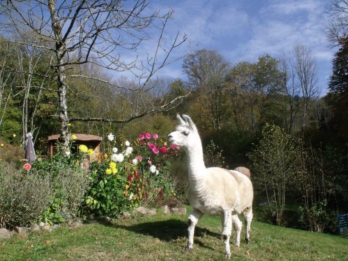 Ferdrupt Le Domaine Du Chatelet المظهر الخارجي الصورة